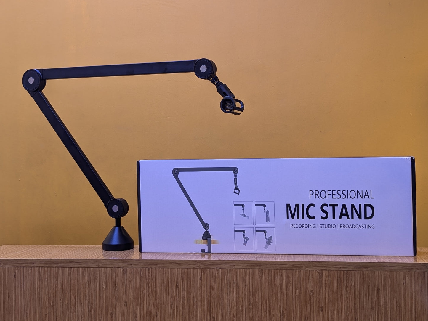 Professional Mic Stand